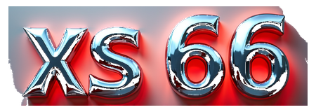 xs 66 logo